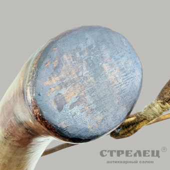 фото — пороховница из рога с деревянной пробкой. европа, 19 век